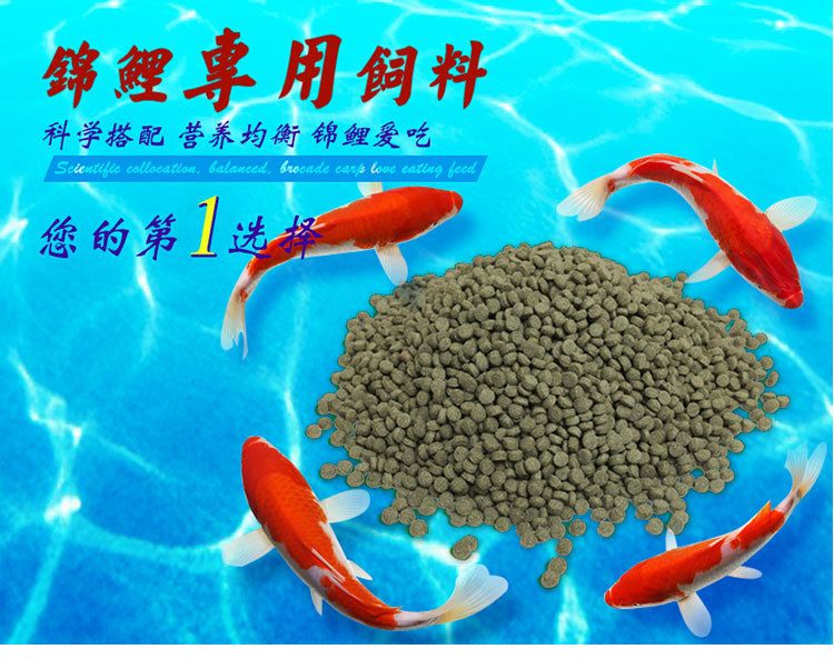 觀賞魚飼料營(yíng)養(yǎng)均衡搭配，觀賞魚飼料的營(yíng)養(yǎng)均衡搭配 觀賞魚市場(chǎng)（混養(yǎng)魚） 第4張