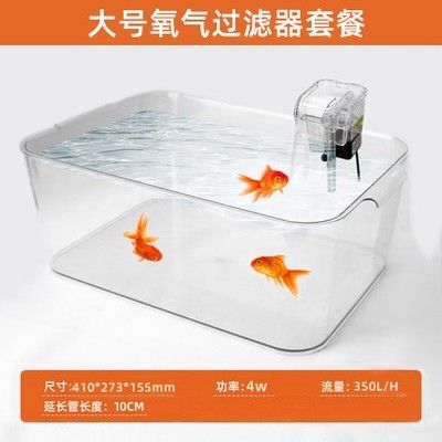 六角恐龍魚缸多大合適，六角恐龍魚缸尺寸 魚缸百科 第4張