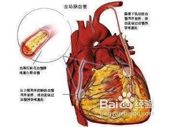 龍魚有營養(yǎng)嗎，龍魚與鱈魚營養(yǎng)對比，龍魚營養(yǎng)對比 龍魚百科 第4張