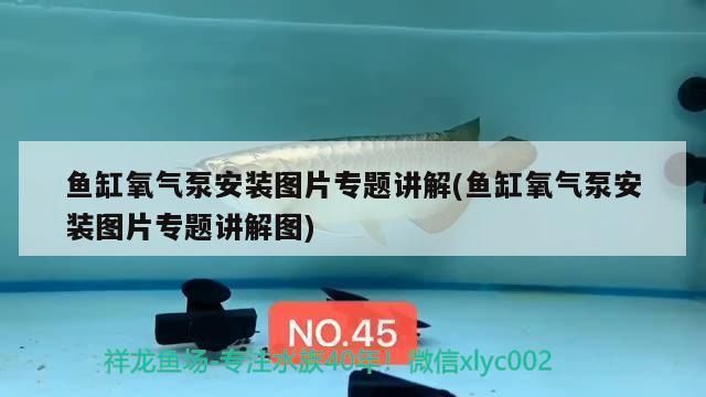 魚缸氧氣泵安裝圖片 原理圖，魚缸氧氣泵故障排除技巧如何選擇合適氧氣泵魚缸增氧設(shè)備 魚缸百科 第4張