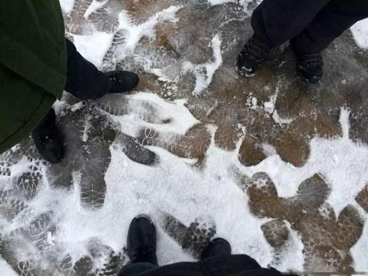 雪鯽魚繁殖水溫波動影響，冬季鯽魚繁殖對策，鯽魚繁殖期如何控溫？ 觀賞魚市場（混養(yǎng)魚） 第4張