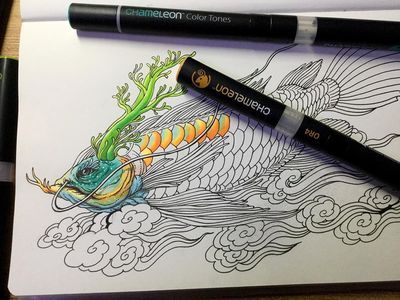 龍魚秒懂百科，龍魚秒懂百科——龍魚的飼養(yǎng)技巧 龍魚百科 第5張