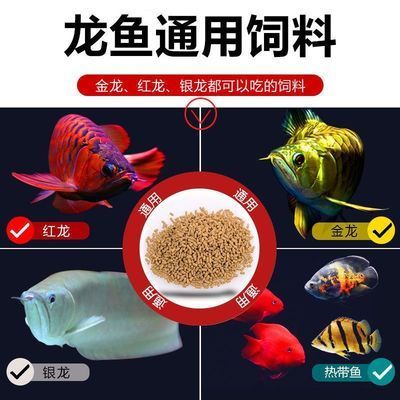 龍魚魚食哪個牌子好一點耐用，龍魚飼料品牌推薦 龍魚百科 第2張