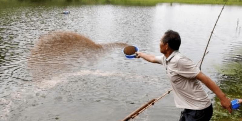 如何減少虎魚應(yīng)激反應(yīng)，減少虎魚應(yīng)激反應(yīng)的方法