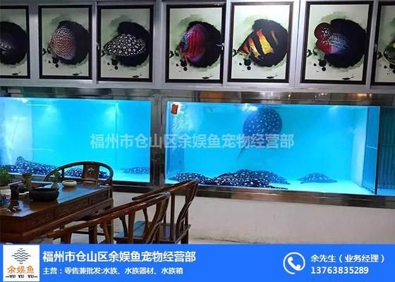 福州魚缸定做定制，福州魚缸定做和定制服務(wù)技巧福州魚缸維護(hù)保養(yǎng)技巧 魚缸百科 第2張