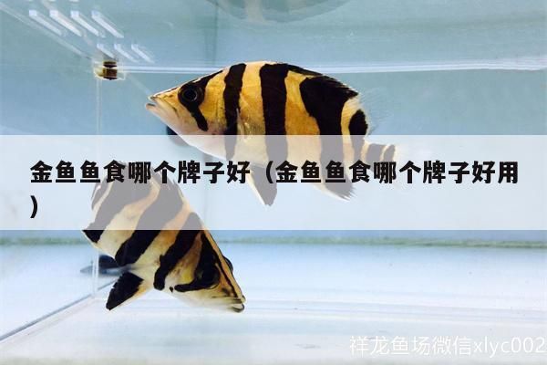 蘇虎苗飼料選擇指南，蘇虎苗的飼料選擇指南 虎魚百科 第6張