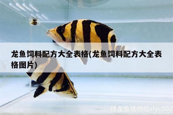 龍魚飼料配方大全，常見的龍魚飼料配方 魚缸百科 第2張