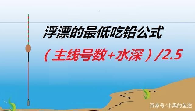 金龍魚魚線孔大怎么回事，金龍魚魚線孔大的原因 龍魚百科 第1張