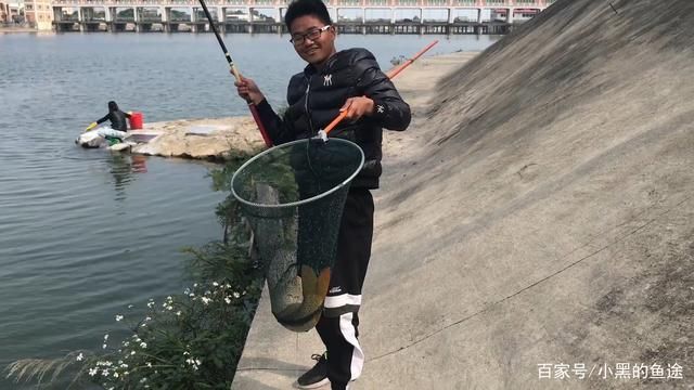 金龍魚魚線孔大怎么回事，金龍魚魚線孔大的原因 龍魚百科 第2張