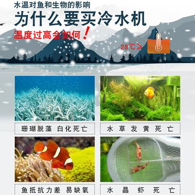 水族箱降溫設(shè)備選購(gòu)指南，水族箱降溫設(shè)備怎么選 觀賞魚市場(chǎng)（混養(yǎng)魚） 第1張