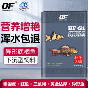 泰國虎魚飼料品牌推薦，泰國虎魚活餌喂養(yǎng)技巧 虎魚百科 第4張