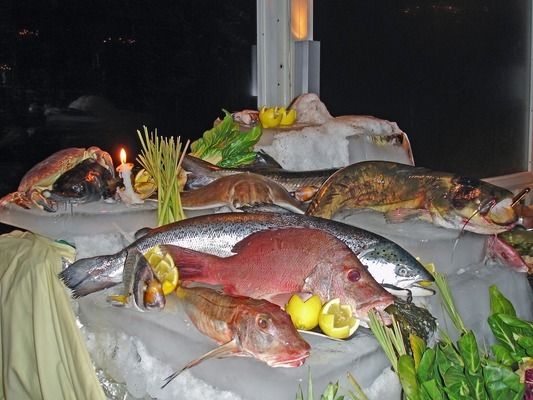 龍魚喂顆粒飼料一天喂多少合適，龍魚喂食頻率與生長關(guān)系 龍魚百科 第4張