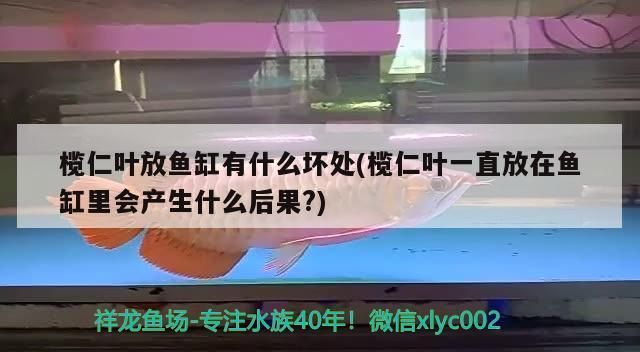 三紋虎魚(yú)缸過(guò)濾器品牌對(duì)比，三紋虎魚(yú)缸過(guò)濾器品牌及其特點(diǎn)魚(yú)缸過(guò)濾器品牌對(duì)比 虎魚(yú)百科 第5張