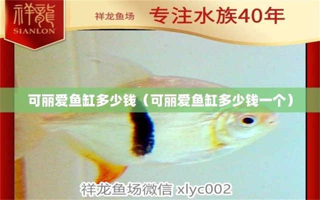 可麗愛魚缸旗艦店是正品嗎多少錢，可麗愛魚缸旗艦店是正品嗎 魚缸百科 第4張