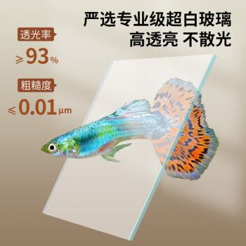 森森魚(yú)缸60公分寬有哪幾種，60公分魚(yú)缸造景搭配技巧 魚(yú)缸百科 第5張