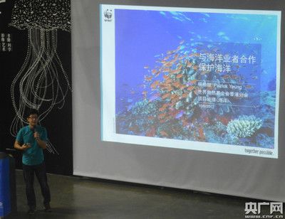 龍魚和虎魚混養(yǎng)水溫多少度，龍魚和虎魚混養(yǎng)適宜的水溫范圍為76°f至82°f（24°c至28°c） 水族問答