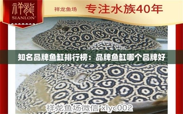 魚缸有哪些品牌大全排名，2024年魚缸品牌大全排名 魚缸百科 第6張