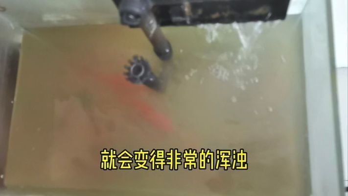 魚缸里的水突然渾濁是什么原因，如何正確使用魚缸凈水劑