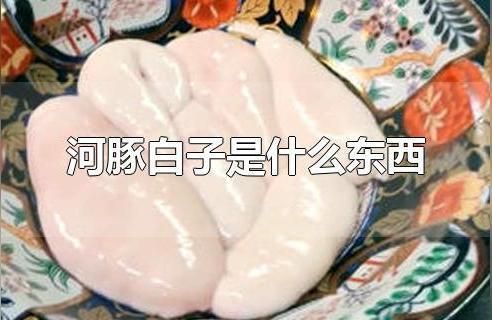 銀版魚繁殖環(huán)境要求，銀版魚的繁殖方法 觀賞魚市場（混養(yǎng)魚） 第4張