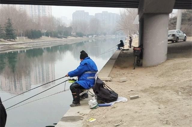 冬季元寶鯽活餌使用技巧，冬季元寶鯽活餌保存方法， 觀賞魚市場(chǎng)（混養(yǎng)魚） 第2張