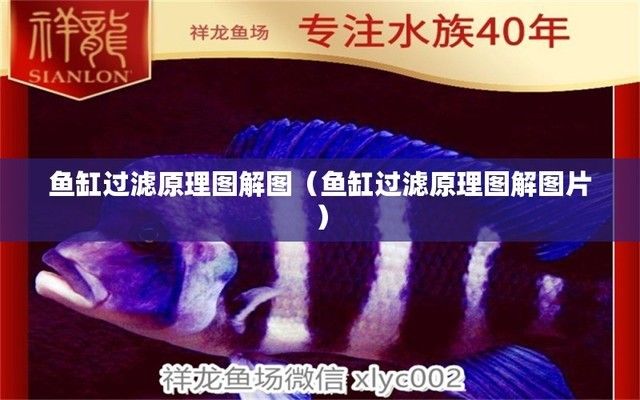 半圓魚缸過(guò)濾示意圖，半圓魚缸過(guò)濾器安裝教程 魚缸百科 第3張