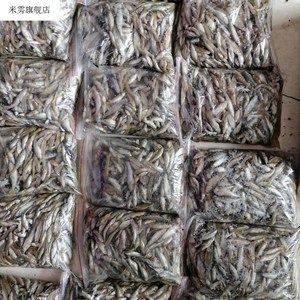 龍魚老頭魚，龍魚老頭魚是指那些錯過最佳生長時期的龍魚老頭魚 魚缸百科 第2張