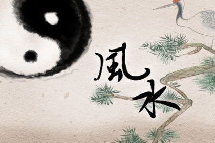 辦公室放魚缸的風(fēng)水禁忌，辦公室養(yǎng)魚的風(fēng)水原則 魚缸百科 第1張