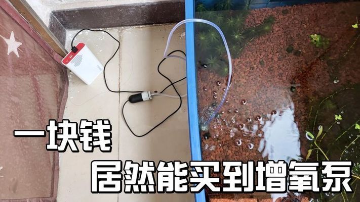 魚缸增氧泵價(jià)格多少，魚缸增氧泵品牌排行榜如何選擇合適的增氧泵 魚缸百科 第1張