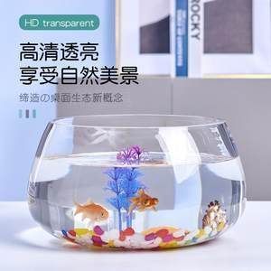 家庭魚缸品牌推薦，博宇boyu魚缸設(shè)計(jì)特色佳寶jebo水族器材標(biāo)準(zhǔn) 魚缸百科 第6張