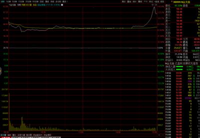 金龍魚今天的股價(jià)是多少，金龍魚2024年12月12日股價(jià)為15.30元 龍魚百科 第3張