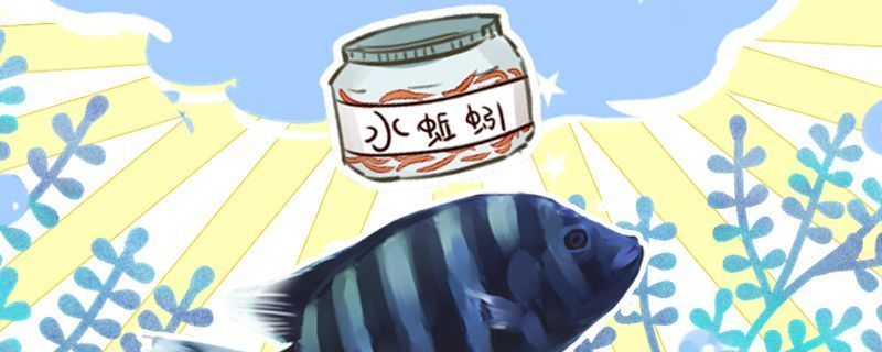 斑馬鴨嘴魚苗繁殖期餌料搭配，斑馬鴨嘴魚的繁殖期餌料搭配是關鍵 觀賞魚市場（混養(yǎng)魚） 第5張