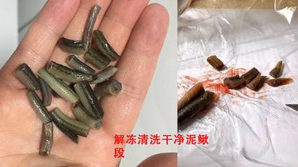 巴西亞魚繁殖技術(shù)要點(diǎn)，巴西亞魚繁殖期餌料選擇,巴西亞魚繁殖后護(hù)理方法 觀賞魚市場(chǎng)（混養(yǎng)魚） 第3張