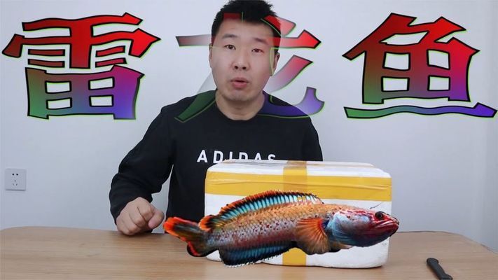 負壓魚缸的原理圖解，如何提高負壓魚缸氧氣含量負壓魚缸與普通魚缸對比 魚缸百科 第1張