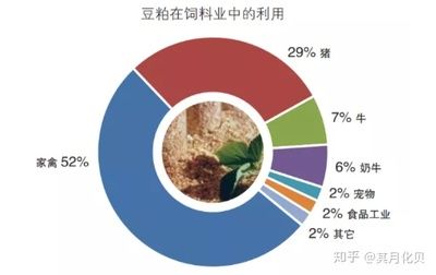 大豆價(jià)格波動(dòng)對(duì)飼料業(yè)影響，大豆價(jià)格波動(dòng)對(duì)飼料業(yè)產(chǎn)生了顯著影響 觀賞魚(yú)市場(chǎng)（混養(yǎng)魚(yú)） 第3張