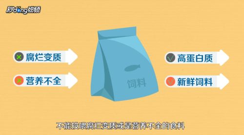 招財(cái)魚繁殖后如何分養(yǎng)，招財(cái)魚繁殖后親魚管理技巧