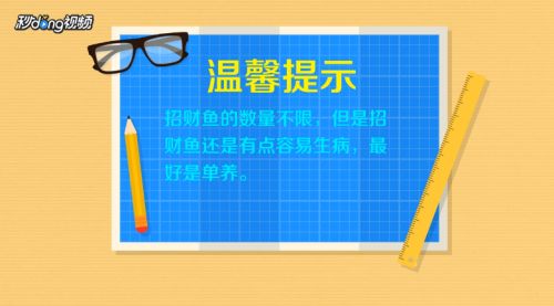 招財魚繁殖后如何分養(yǎng)，招財魚繁殖后親魚管理技巧 觀賞魚市場（混養(yǎng)魚） 第5張