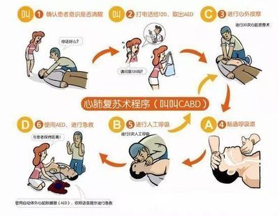 電鰻電擊急救措施的具體步驟，電鰻電擊后如何防止二次傷害 觀(guān)賞魚(yú)市場(chǎng)（混養(yǎng)魚(yú)） 第4張