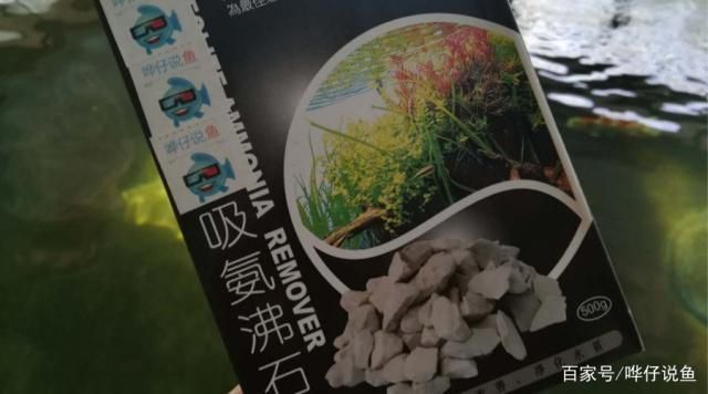 魚缸水發(fā)白發(fā)腥，如何正確使用水質(zhì)處理劑？ 魚缸百科 第3張