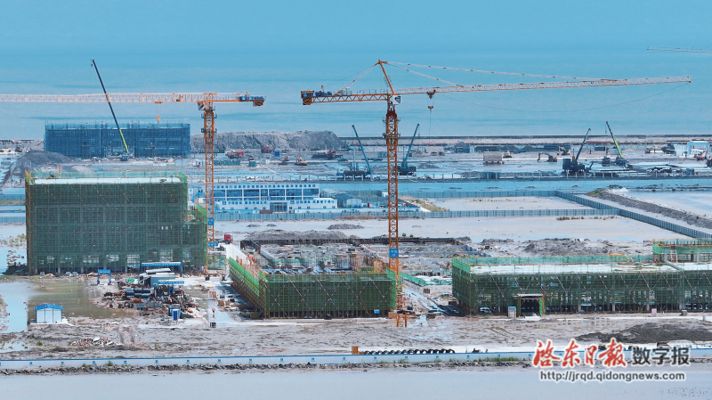 金龍魚在建項目，金龍魚公司正在建設(shè)一個新的項目位于中國某個城市 龍魚百科 第1張