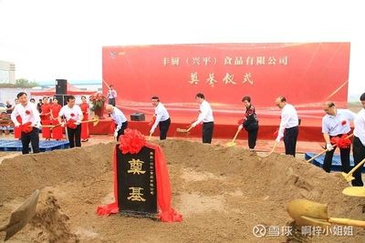 金龍魚在建項目，金龍魚公司正在建設(shè)一個新的項目位于中國某個城市 龍魚百科 第4張