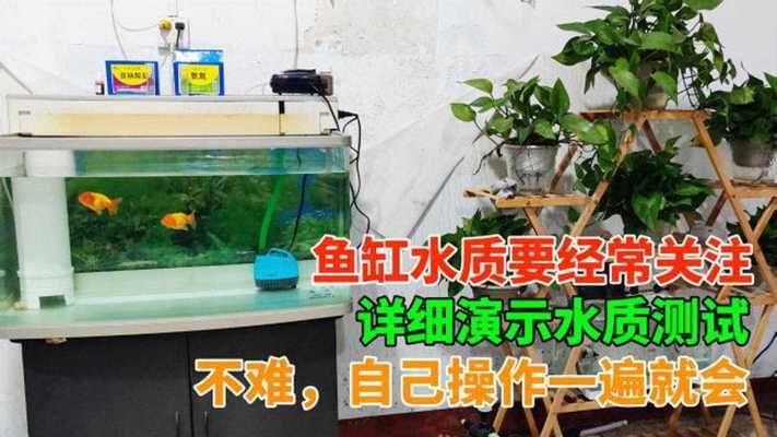 杰西卡魚缸水質檢測技巧，魚缸水質檢測工具推薦，魚缸過濾系統(tǒng)選擇指南 觀賞魚市場（混養(yǎng)魚） 第1張