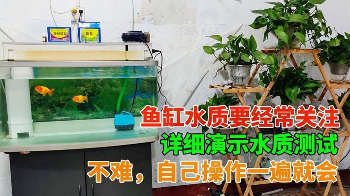 杰西卡魚缸水質檢測技巧，魚缸水質檢測工具推薦，魚缸過濾系統(tǒng)選擇指南 觀賞魚市場（混養(yǎng)魚） 第4張