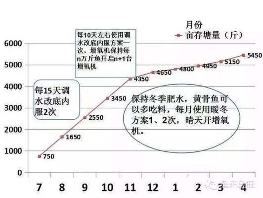 檸檬鯽購(gòu)買渠道信譽(yù)評(píng)估，尋找檸檬鯽的購(gòu)買渠道可以考慮以下幾個(gè)主要途徑 觀賞魚市場(chǎng)（混養(yǎng)魚）