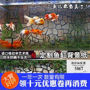 龍魚魚缸壁紙圖片，龍魚魚缸壁紙圖片是什么？ 魚缸百科 第2張