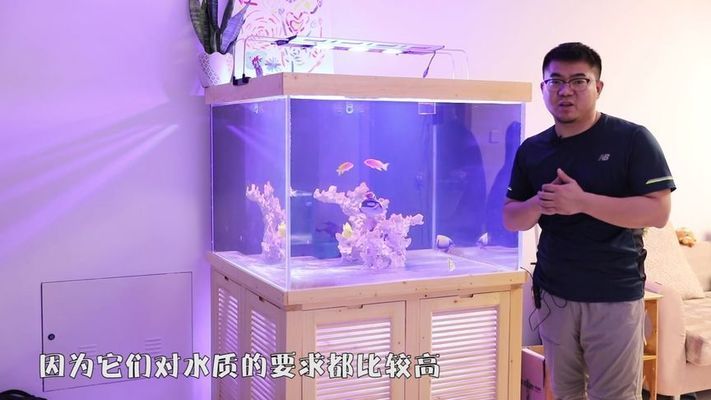 魚缸過濾器最建議買哪種，如何選擇魚缸過濾器 魚缸百科 第1張