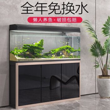 龍魚缸背景用什么顏色好，龍魚缸背景顏色心理學 魚缸百科 第4張