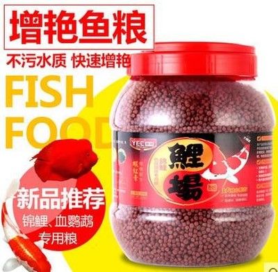 龍鳳鯉魚飼料品牌排行榜，龍鳳鯉魚飼料品牌排行榜龍鳳鯉魚飼料品牌排行榜 觀賞魚市場(chǎng)（混養(yǎng)魚） 第4張