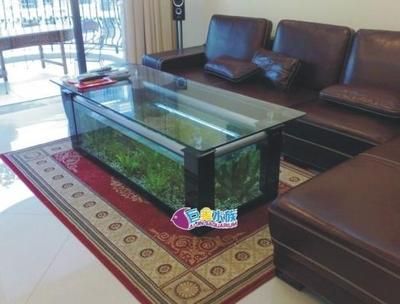 十大魚缸品牌排行榜，魚缸品牌歷史沿革水族用品市場趨勢分析十大魚缸品牌排行榜 魚缸百科 第1張