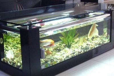 十大魚缸品牌排行榜，魚缸品牌歷史沿革水族用品市場趨勢分析十大魚缸品牌排行榜 魚缸百科 第5張