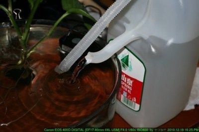 魚缸自動循環(huán)水系統(tǒng)制作不用電，不用電的魚缸自動循環(huán)水系統(tǒng) 魚缸百科 第3張